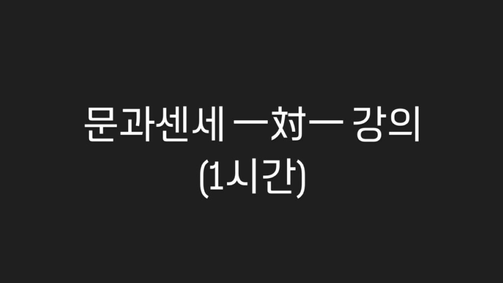 문과센세 일대일 강의(1시간)