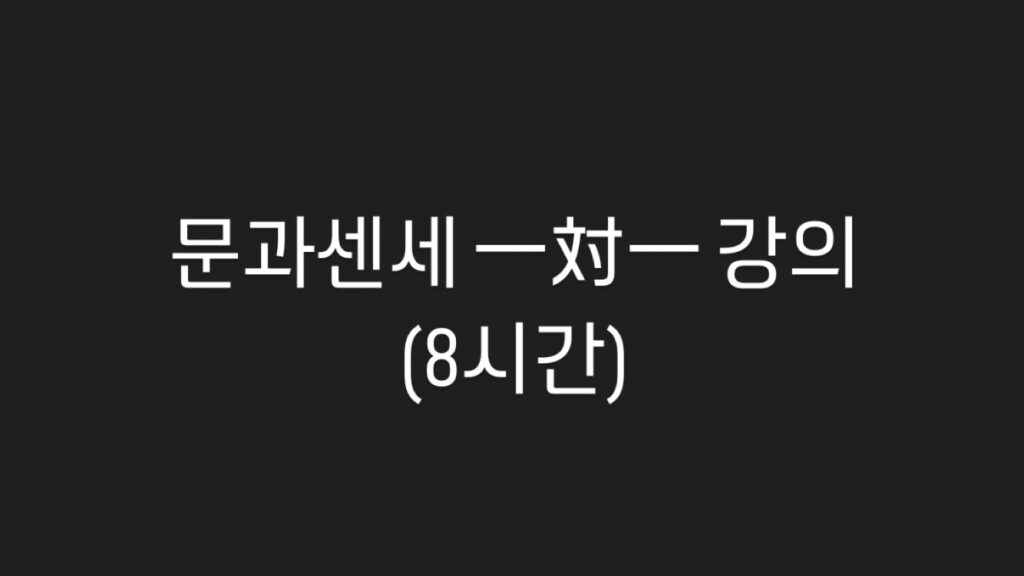 문과센세 일대일 강의(8시간)