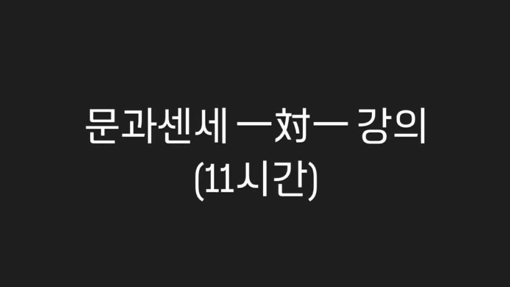 문과센세 일대일 강의(11시간)